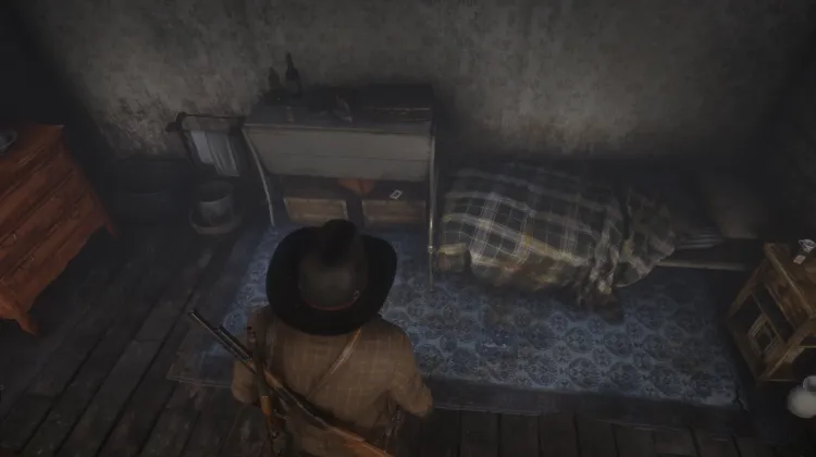 Fauna of North America - Card #11