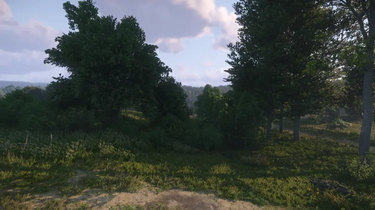 Vestiges d'un oppidum celte