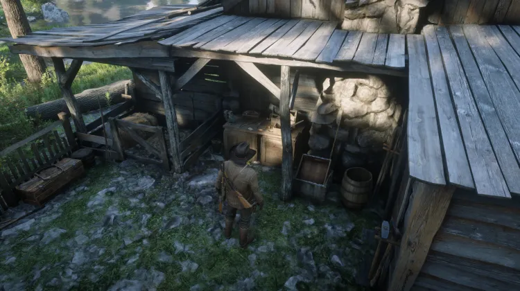 Breeds of Horses - Card #8