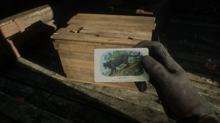 Fauna of North America - Card #8