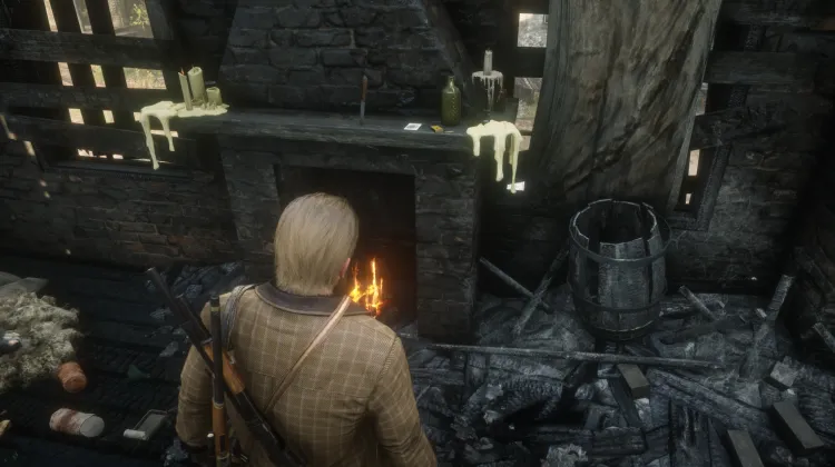 Fauna of North America - Card #12