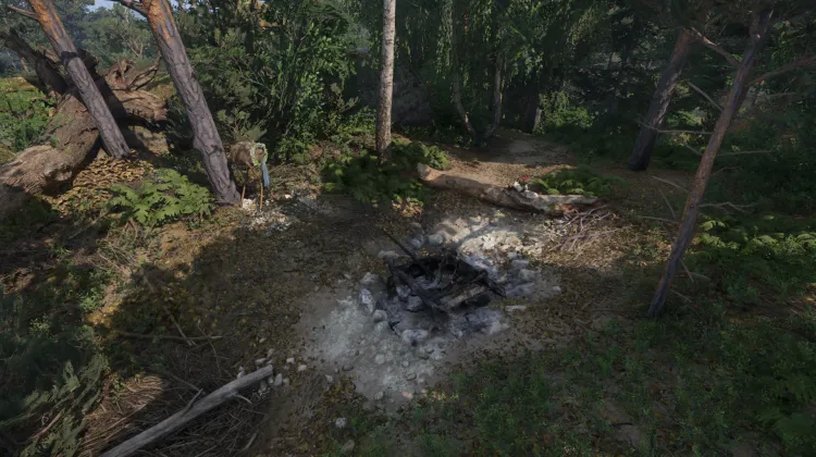 Feu de la Saint-Jean