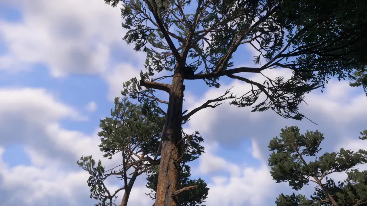 Sous-catégorie sans titre