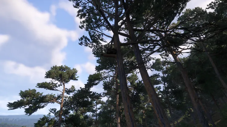 Sous-catégorie sans titre