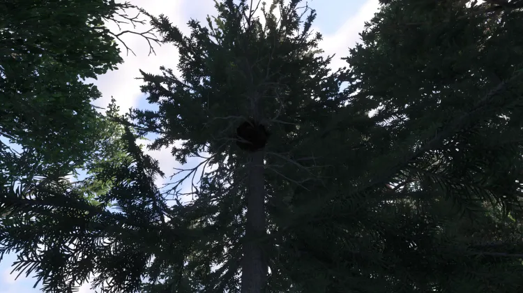 Sous-catégorie sans titre