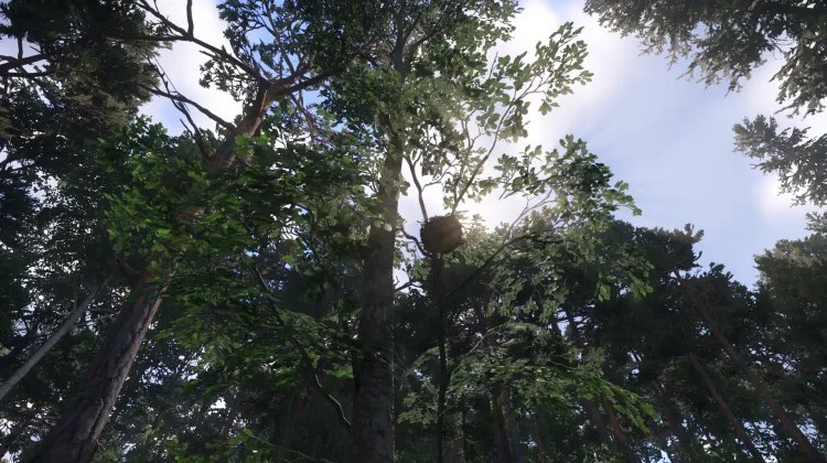 Sous-catégorie sans titre