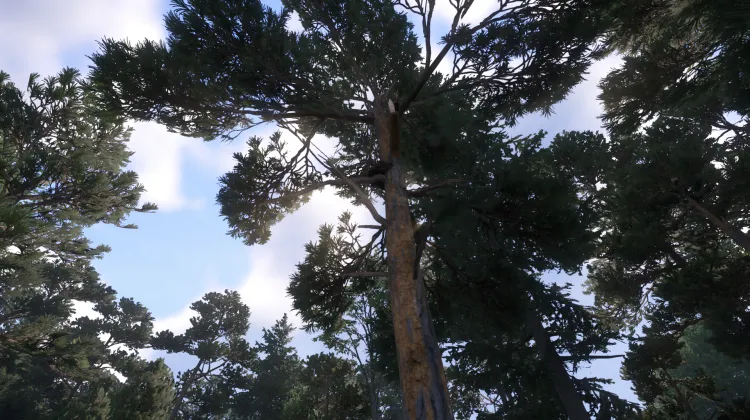 Sous-catégorie sans titre