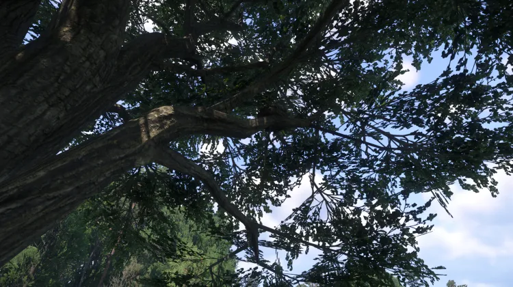 Sous-catégorie sans titre