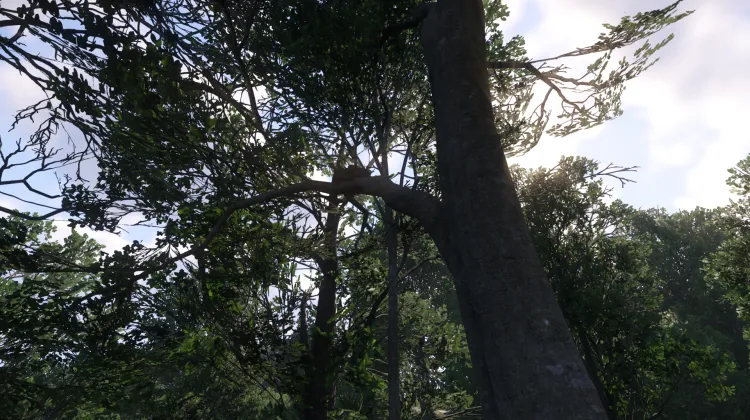 Sous-catégorie sans titre