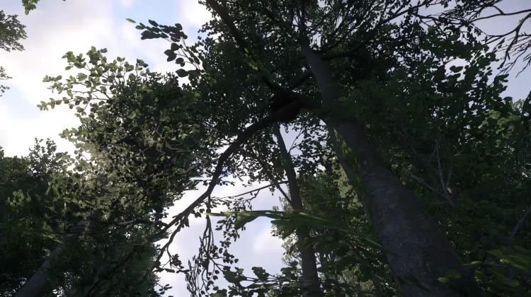 Sous-catégorie sans titre