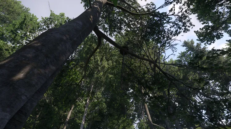 Sous-catégorie sans titre