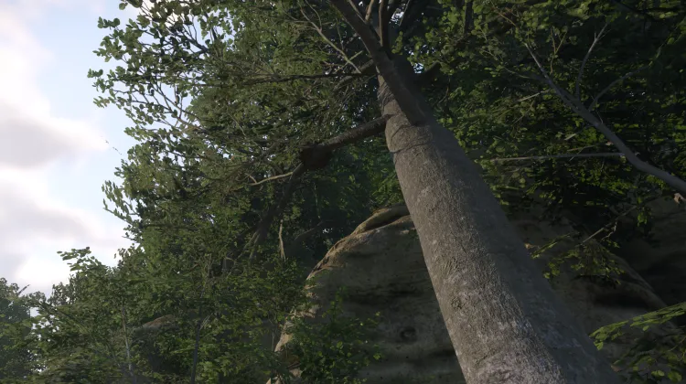 Sous-catégorie sans titre