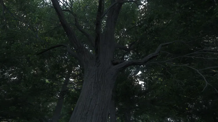 Sous-catégorie sans titre