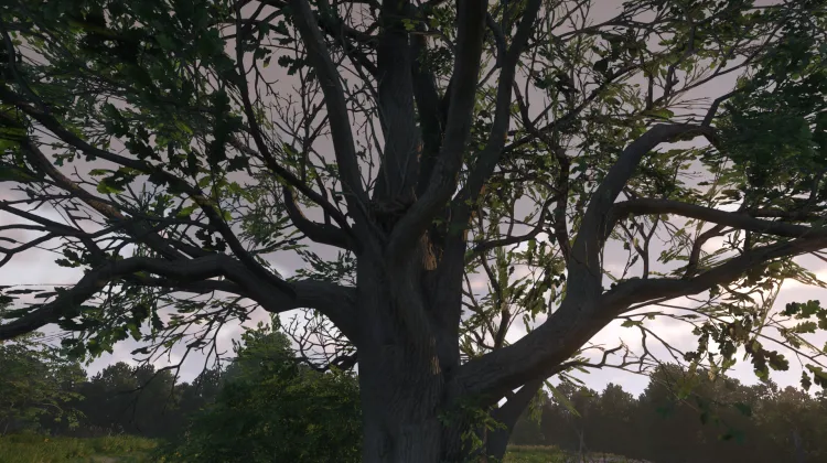 Sous-catégorie sans titre