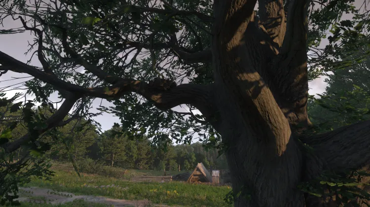 Sous-catégorie sans titre