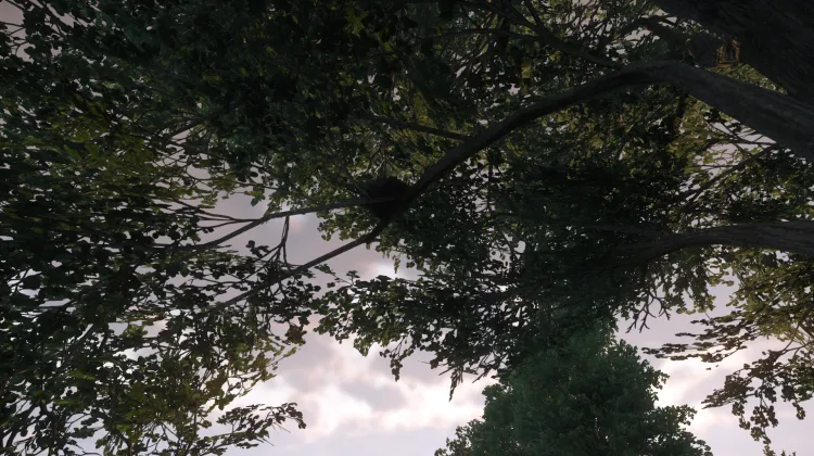 Sous-catégorie sans titre