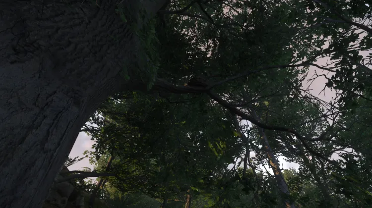 Sous-catégorie sans titre