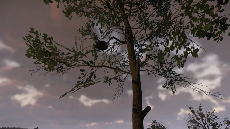 Sous-catégorie sans titre