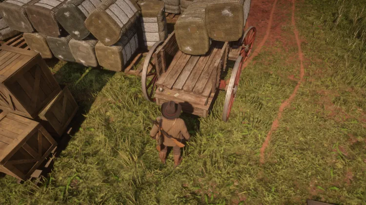 Breeds of Horses - Card #11