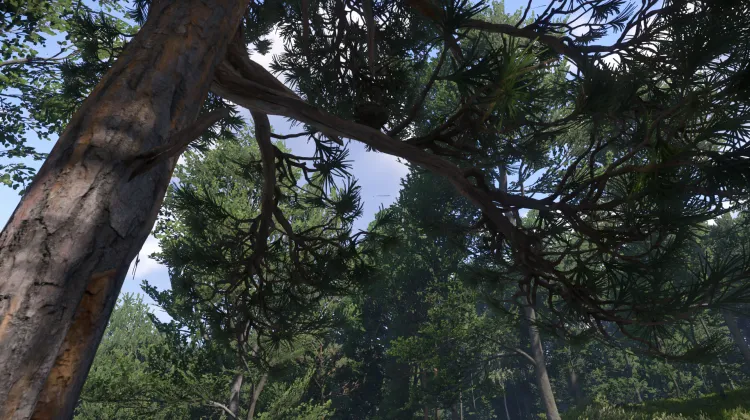 Sous-catégorie sans titre