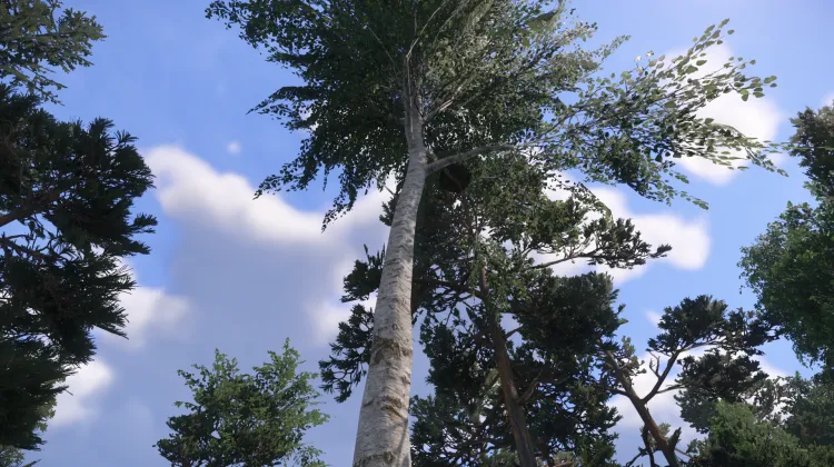 Sous-catégorie sans titre