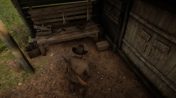 Flora of North America - Card #10