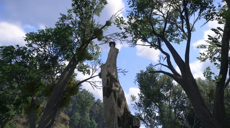 Sous-catégorie sans titre