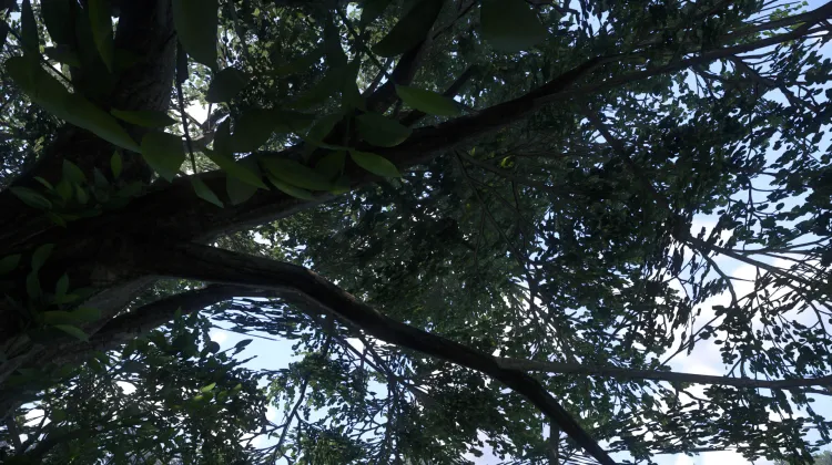 Sous-catégorie sans titre