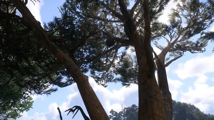 Sous-catégorie sans titre