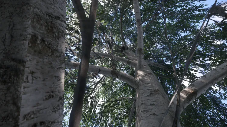 Sous-catégorie sans titre