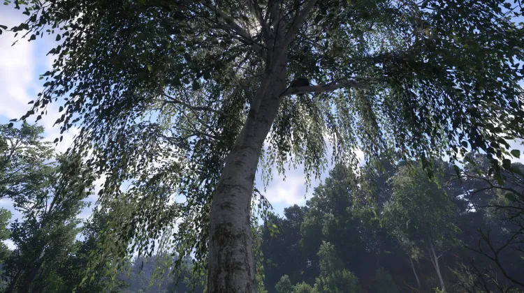 Sous-catégorie sans titre