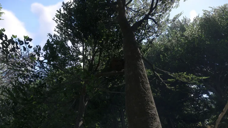 Sous-catégorie sans titre