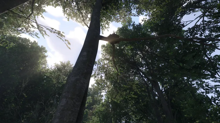 Sous-catégorie sans titre