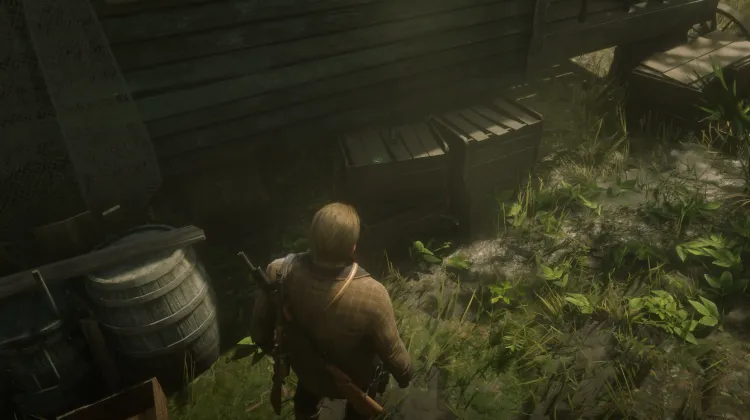 Flora of North America - Card #5