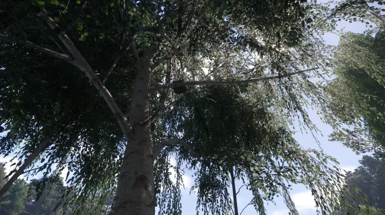 Sous-catégorie sans titre