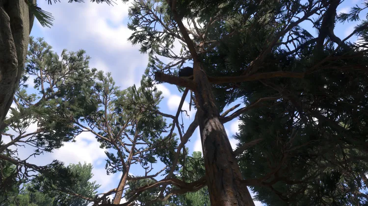 Sous-catégorie sans titre