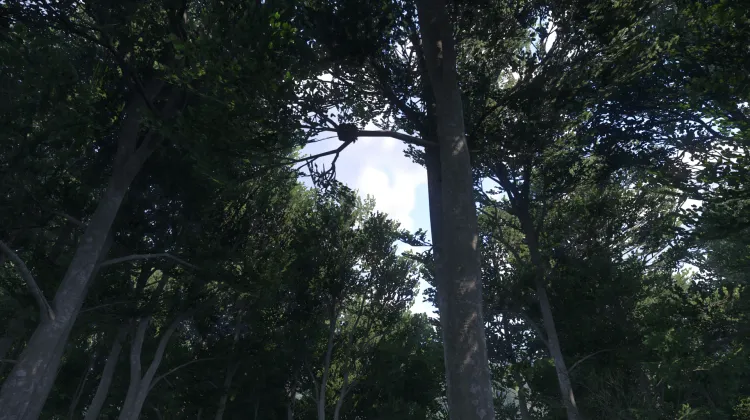 Sous-catégorie sans titre