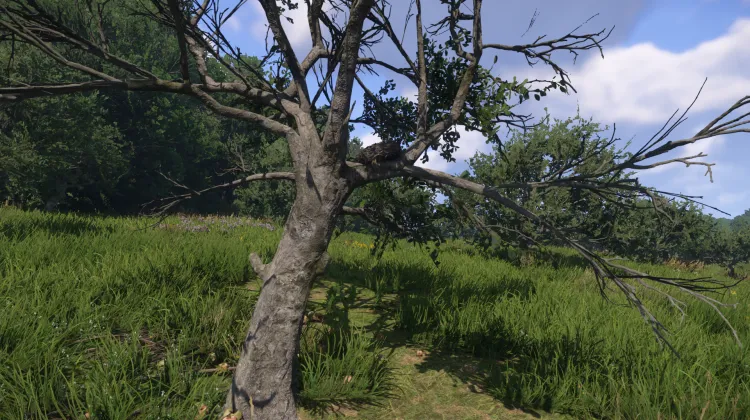 Sous-catégorie sans titre