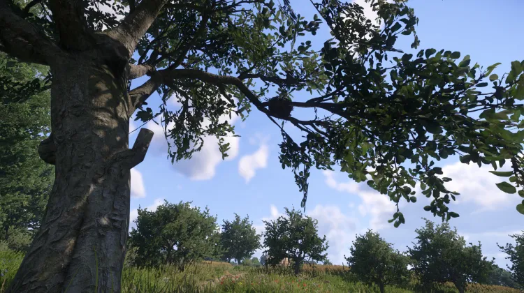 Sous-catégorie sans titre