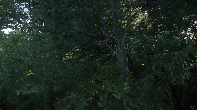 Sous-catégorie sans titre