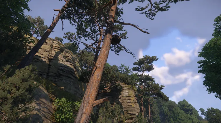 Sous-catégorie sans titre