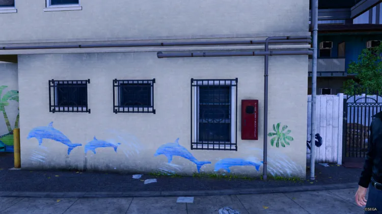 Dolphin Mural