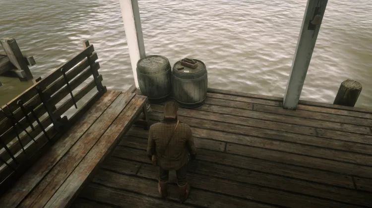 Fauna of North America - Card #4