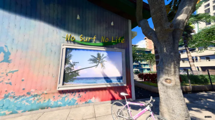 Bez surfingu nie ma życia