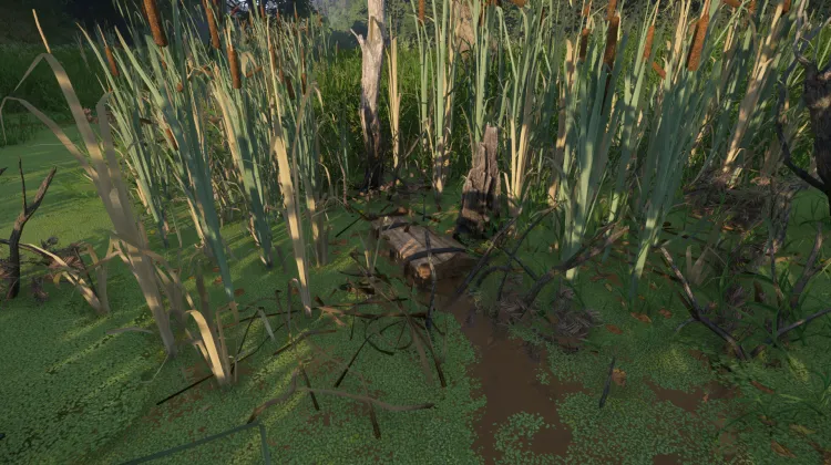 Coffre au trésor du bandit de Vidlak