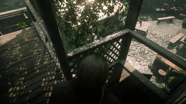 Flora of North America - Card #3