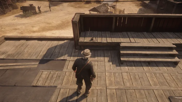 Flora of North America - Card #12