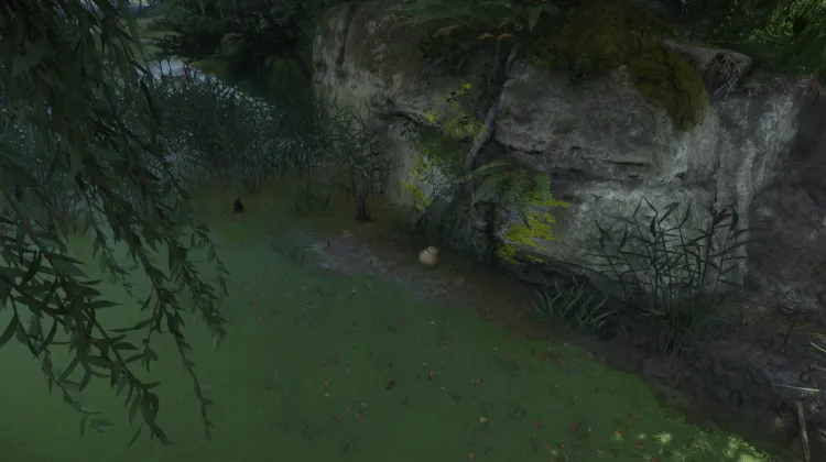 Carte du noyeur Trésor