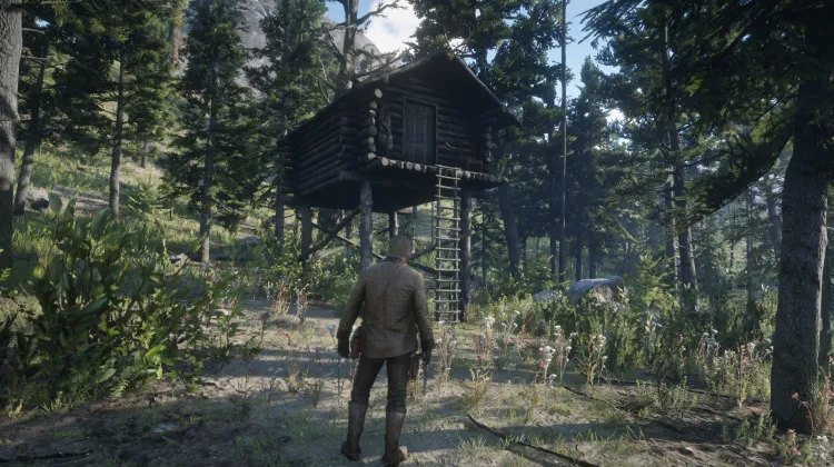 स्टिल्ट शैक