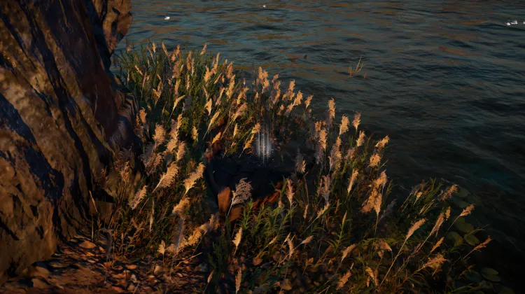 Żagiel Orłonośca i Meduzy